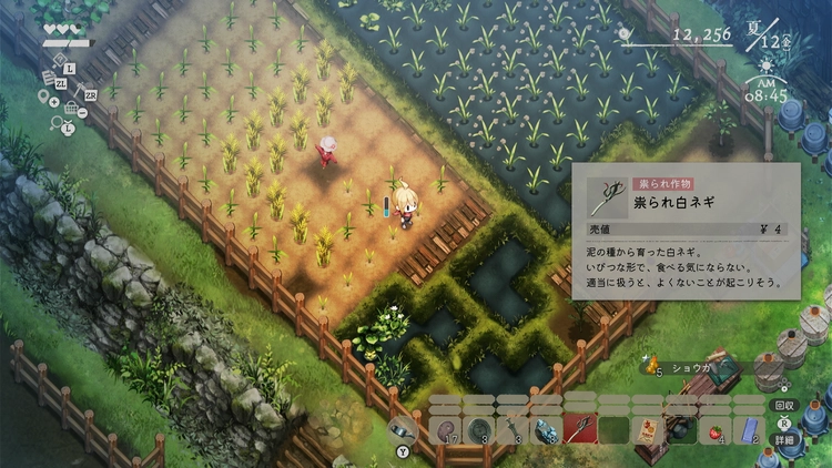 ほの暮しの庭_祟られた作物