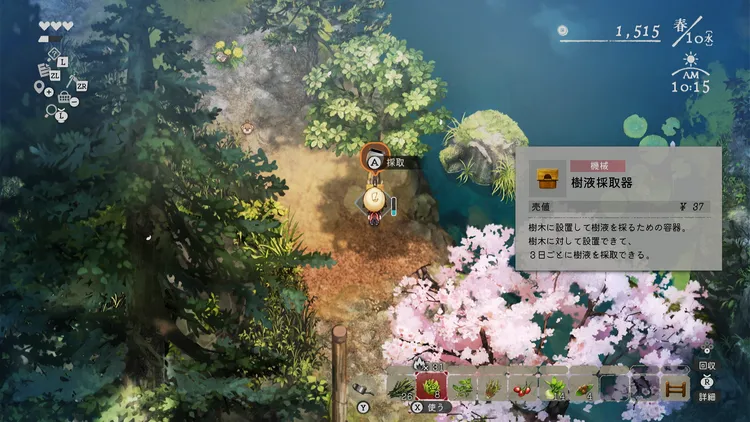 注視 (1)