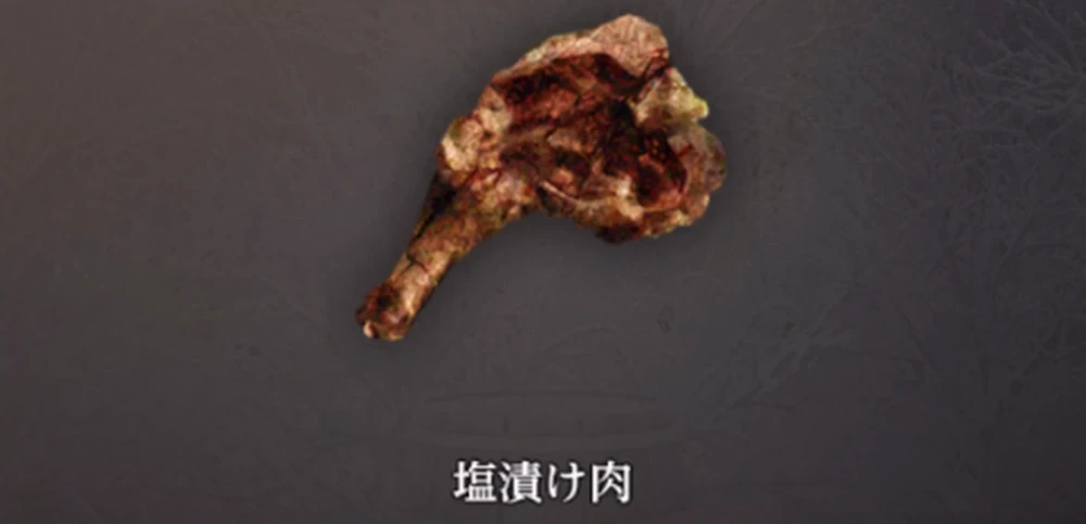 肉を回収して冒険者ギルドに報告_塩漬け肉の奪還の攻略と進め方_ダフネ