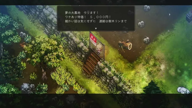 土地拡張１