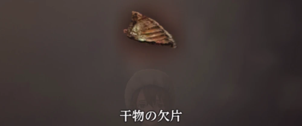干物の欠片_キティを探して_ダフネ