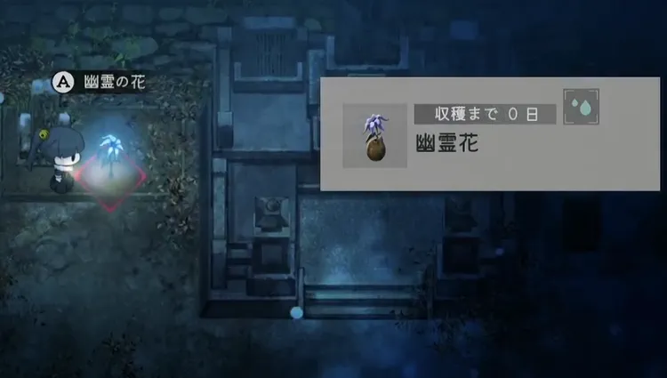ほの暮しの庭_泥のお化け_対処法3