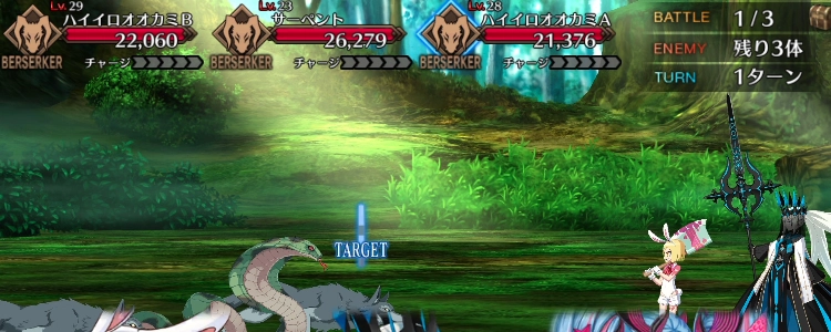FGO_5