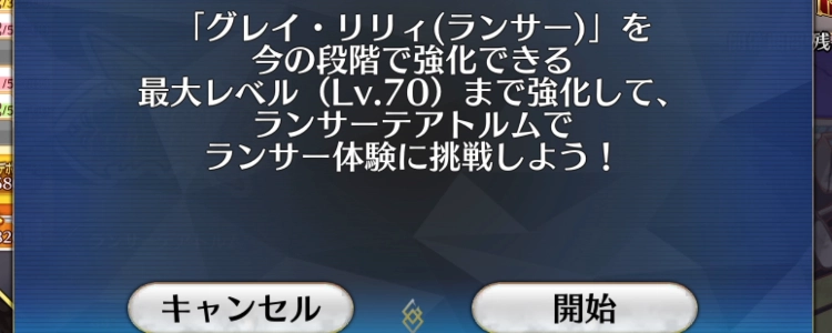 FGO_8