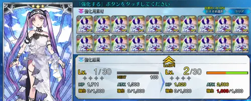 FGO_9
