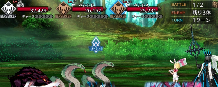 FGO_9