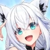 白猫_白上フブキ_アイコン
