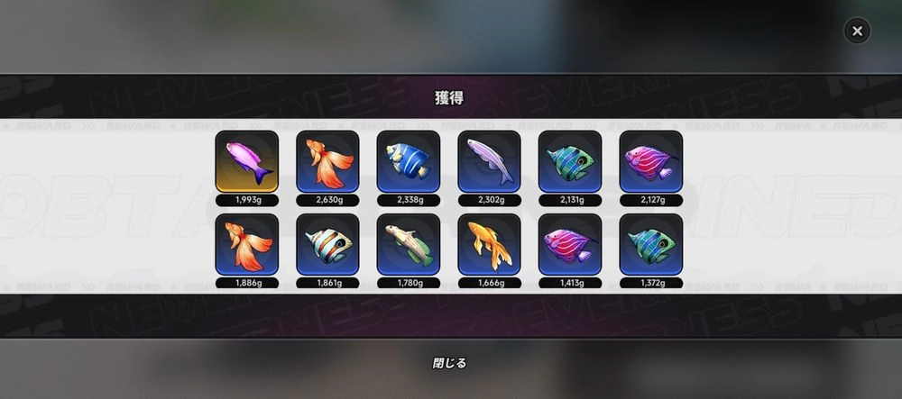 NTE_釣スポット4