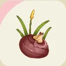 スターサンド_ダイオウクワイ_アイコン