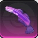 NTE_魚紫