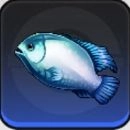 NTE_魚青