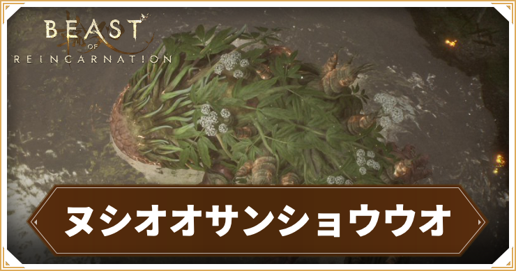 ヌシオオサンショウウオの攻略情報と推奨レベル