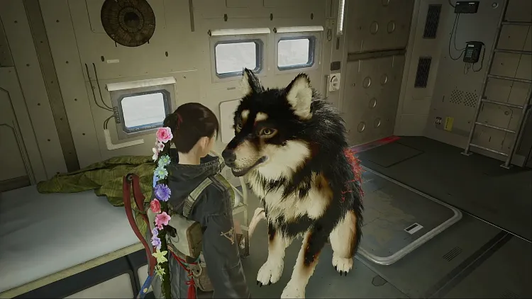 リンカーネーション_黒柴犬クゥ
