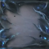 アークナイツ_溟痕