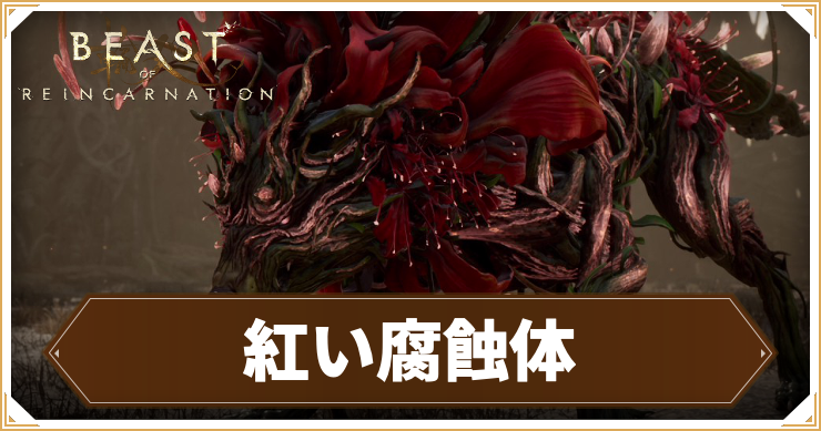 紅い腐蝕体の攻略情報と推奨レベル