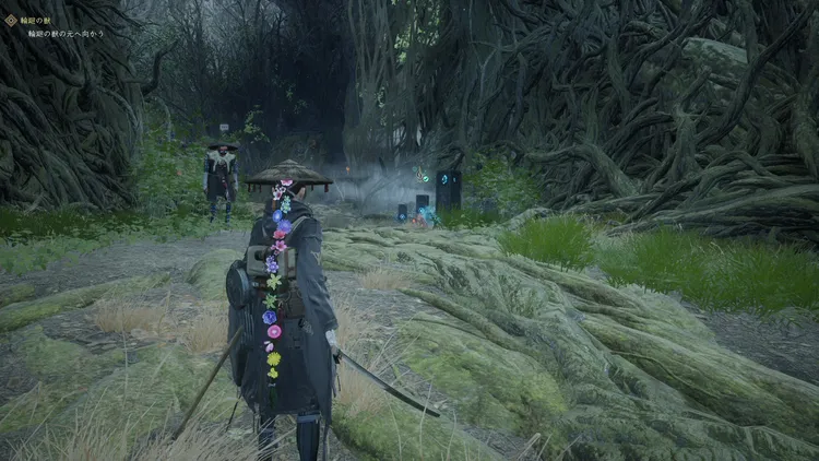 BoR_巨大樹区域_野営地_巨大樹ヌシの巣前_周辺