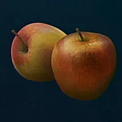 リンカーネーション_リンゴ_アイコン