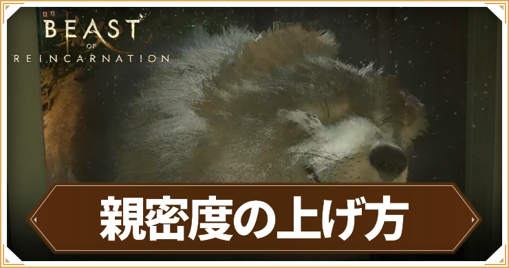リンカネ_親密度
