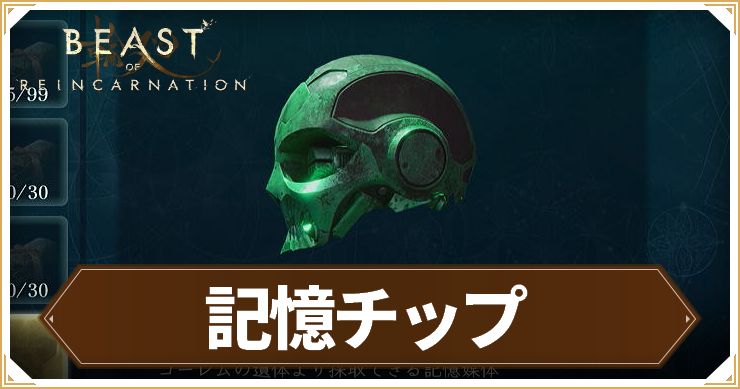 リンカネ_記憶チップ