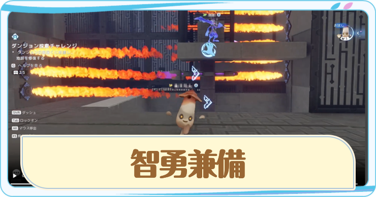アニモ_ダンジョン・智勇兼備_アイキャッチ