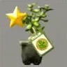 ほの暮しの庭_お茶の木の苗