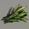 ほの暮しの庭_雑草