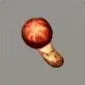 ほの暮しの庭_マツタケ