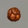 ほの暮しの庭_ヒノキの実