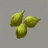 ほの暮しの庭_草の実