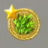 ほの暮しの庭_お茶