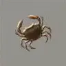 ほの暮しの庭_サワガニ