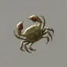 ほの暮しの庭_モクズガニ