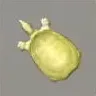 ほの暮しの庭_白いスッポン