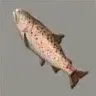ほの暮しの庭_イトウ