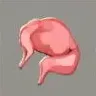 ほの暮しの庭_小動物のジビエ肉