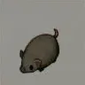 ほの暮しの庭_子ブタ/黒