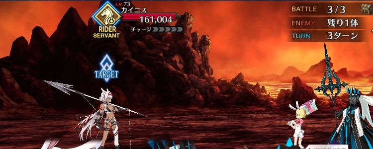 FGO_11