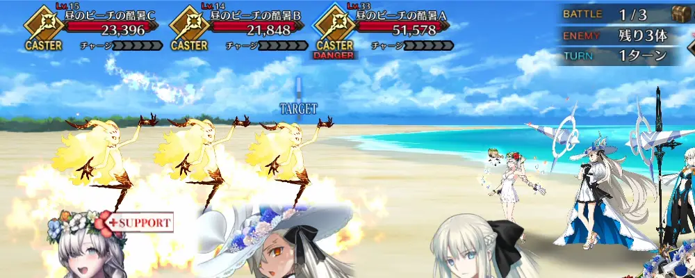 FGO_312