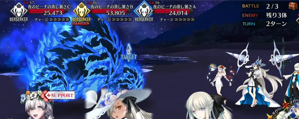 FGO_313