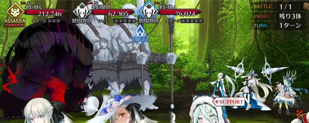 FGO_315