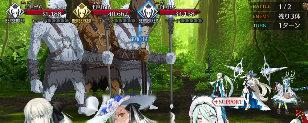 FGO_316