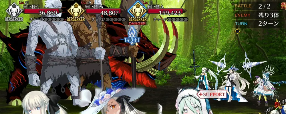 FGO_317