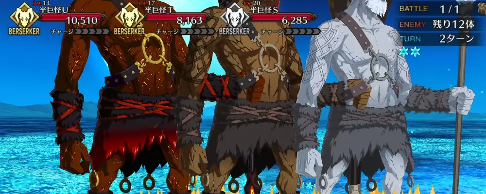 FGO_325