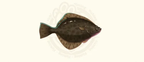 カレイ