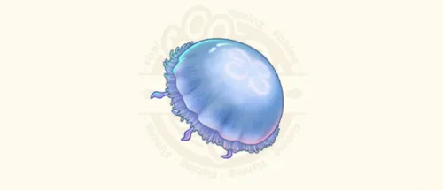ミズクラゲ