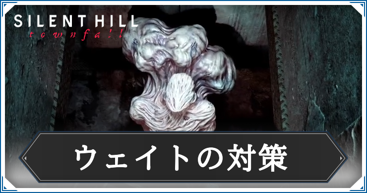 ウェイト