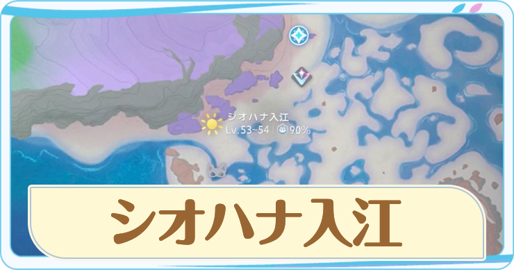 アニモ_シオハナ入江_アイキャッチ