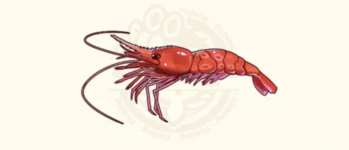エビ