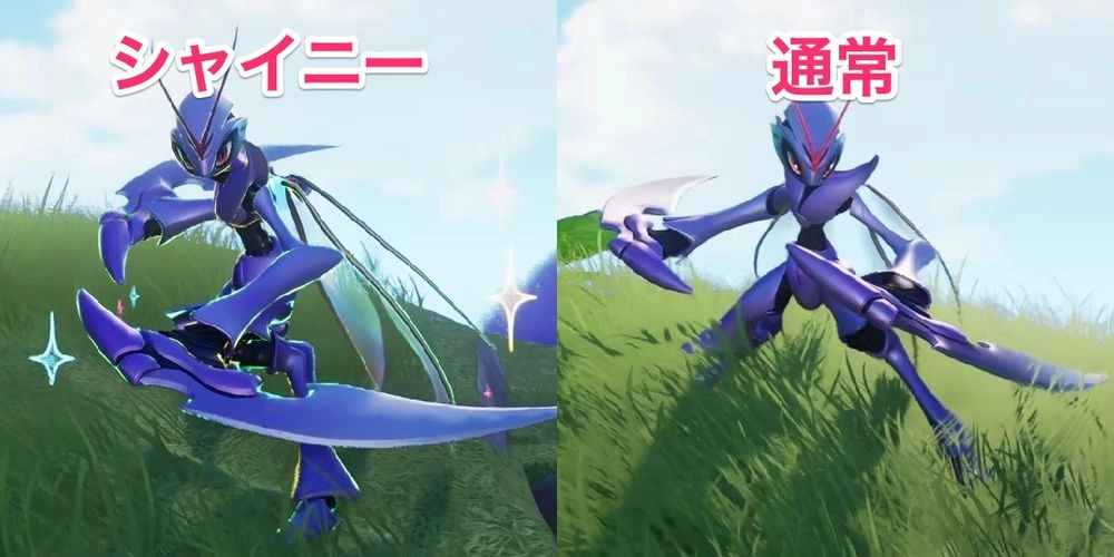 アニモ_シャイニー比較