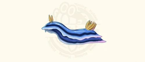 ウミウシ
